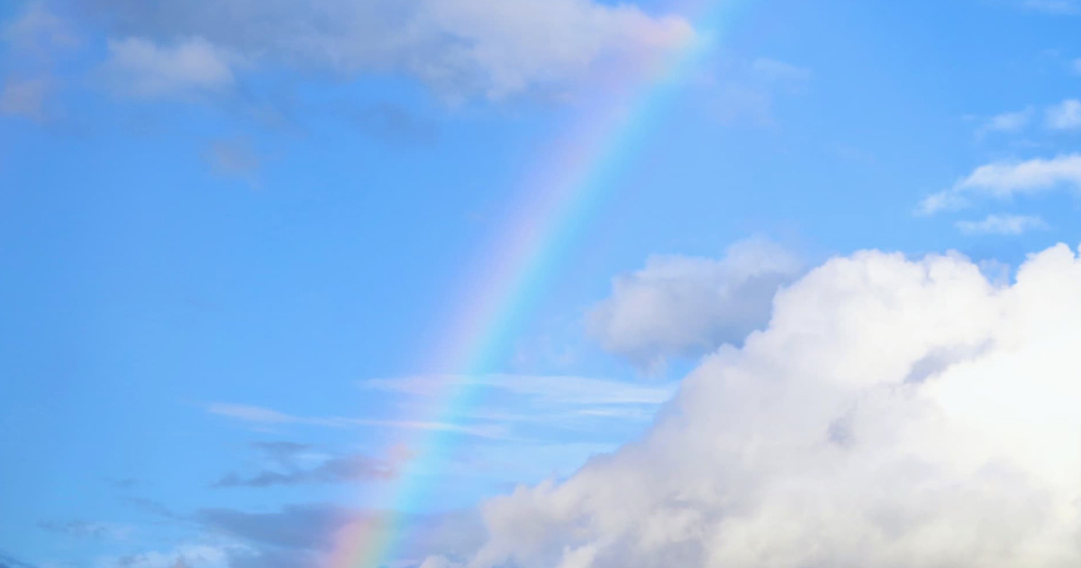 株式会社ロータスポンドイメージ画像